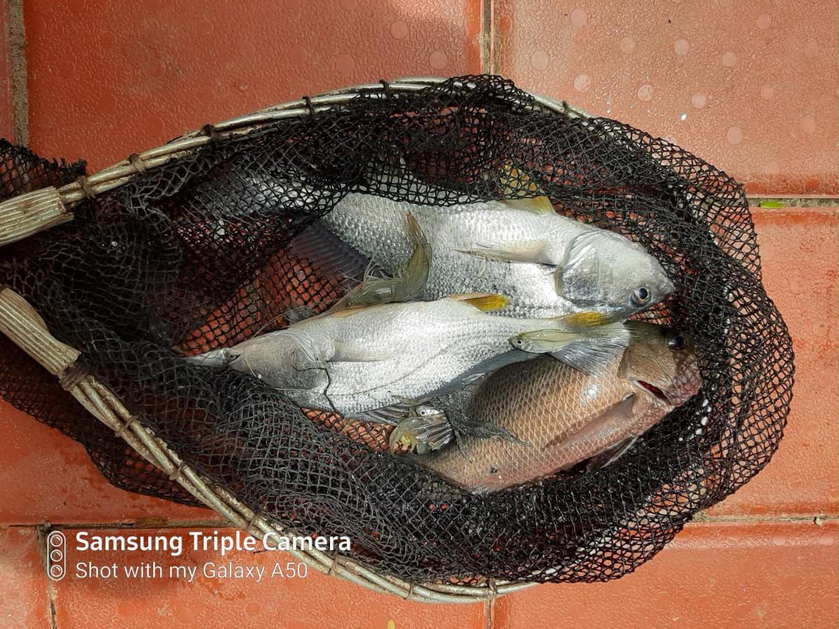 Cheenavala Fishing Homestay Kochi Exterior foto